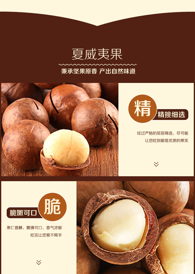 星耀国际官方网站图片