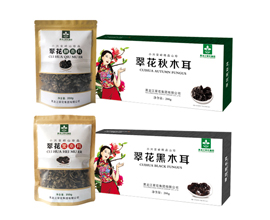 星耀国际 9d49e