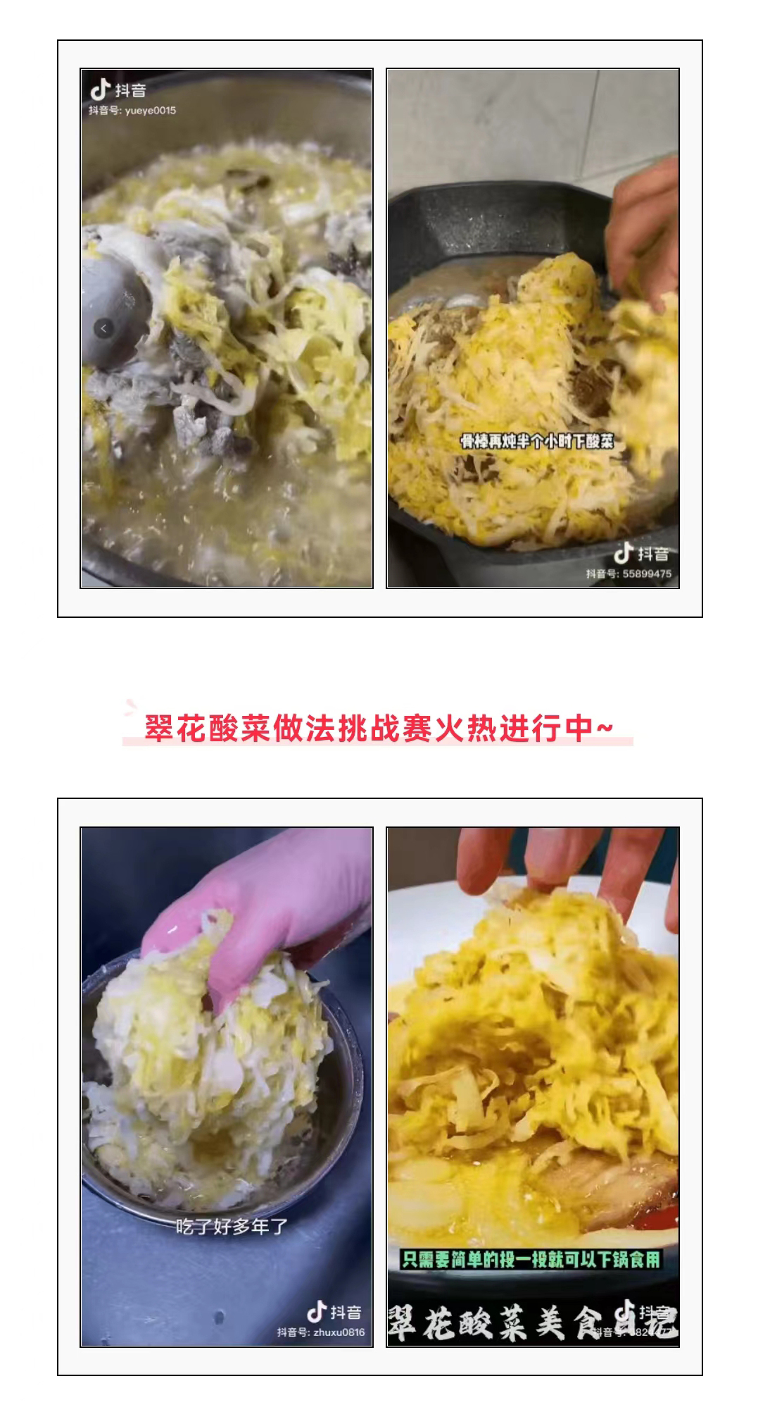 星耀国际官方网站图片