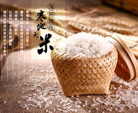 星耀国际 59ce3