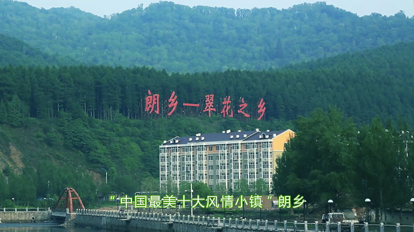 星耀国际官方网站图片