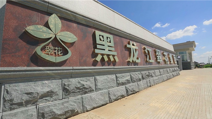 星耀国际官方网站图片