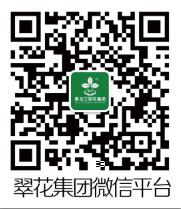 星耀国际官方网站图片