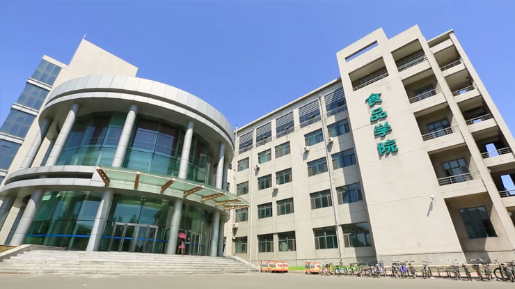 星耀国际官方网站图片